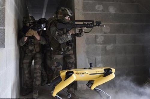 پای سگ های رباتیك به ارتش فرانسه باز شد