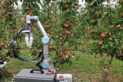 تولید رباتی كه با سرعت انسان میوه می چیند