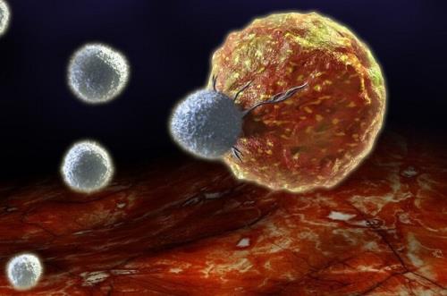 جوان سازی سلول های بنیادی با هدف مقابله با سرطان