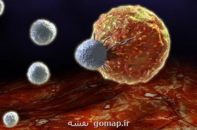 جوان سازی سلول های بنیادی با هدف مقابله با سرطان