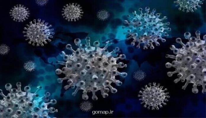 ویروس های ارتوپاکس، تهدیدی دیگر در قرن ۲۱
