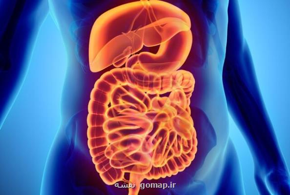 دفع انگل های دستگاه گوارش با گیاهان دارویی