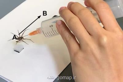 عنکبوت مرده به ربات تبدیل می شود!