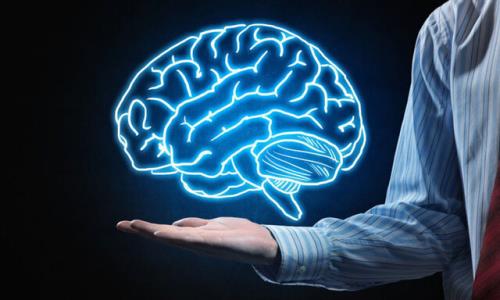 صندوق پژوهش و فناوری گیلان، عامل توسعه فناوری ستاد علوم شناختی شد