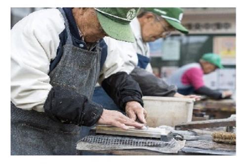 پژوهش پژوهشگران دانشگاه تهران درباره ی سالخوردگی نیروی کار در ژاپن