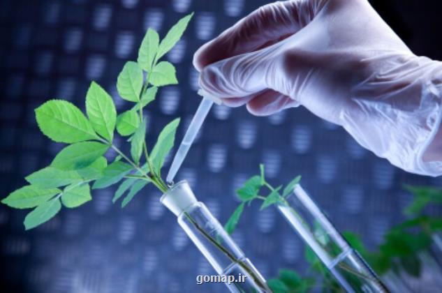 برگزاری همایش مطالعات نظری- دینی علوم زیستی و زیست فناوری