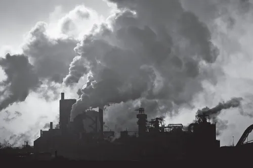 16 ابتکار جهانی برای کاهش آلودگی هوا از شهر هوشمند تا جنگل های عمودی