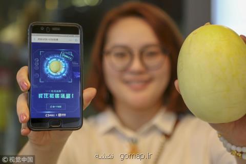 اندازه گیری میزان شیرینی یك میوه با هوش مصنوعی