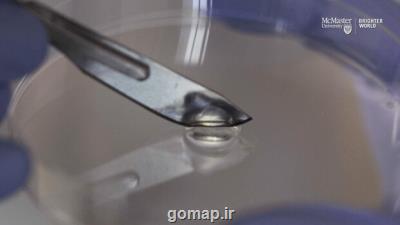 دانشمند ایرانی هیدروژل خودترمیم تولید كرد
