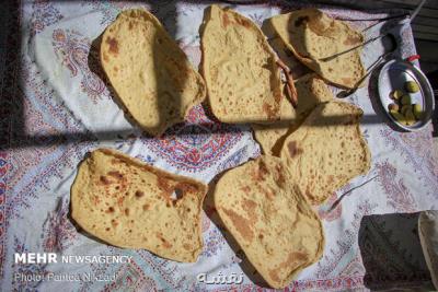 نان فرسودمند با باكتری های بومی تولید شد